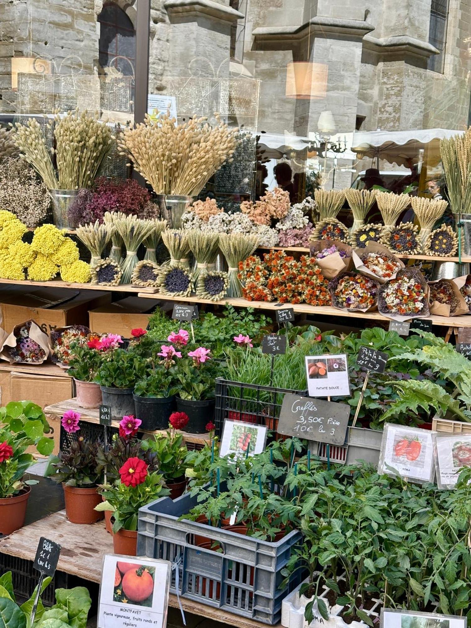 Zen A L Isle LʼIsle-sur-la-Sorgue Εξωτερικό φωτογραφία